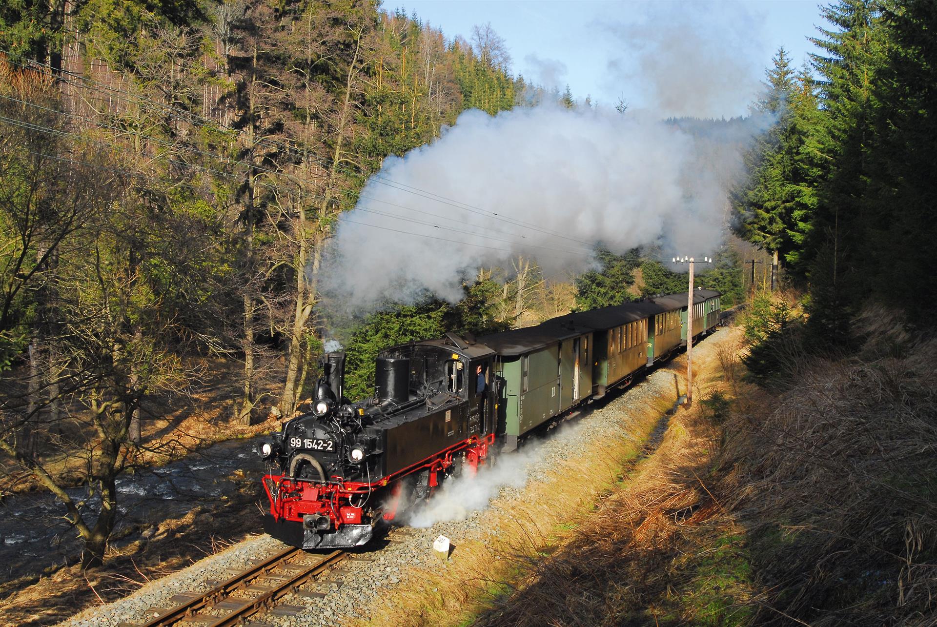 Dampflokomotive 99 1542-2 zieht einen Personenzug der Schmalspurbahn entlang eines Flusses durch einen Wald in Sachsen.