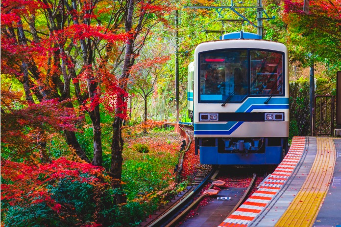 Ein blau-weißer japanischer Zug an einem Bahnsteig, umgeben von Bäumen mit leuchtend rotem und orangefarbenem Herbstlaub, das die Gleise bedeckt.
